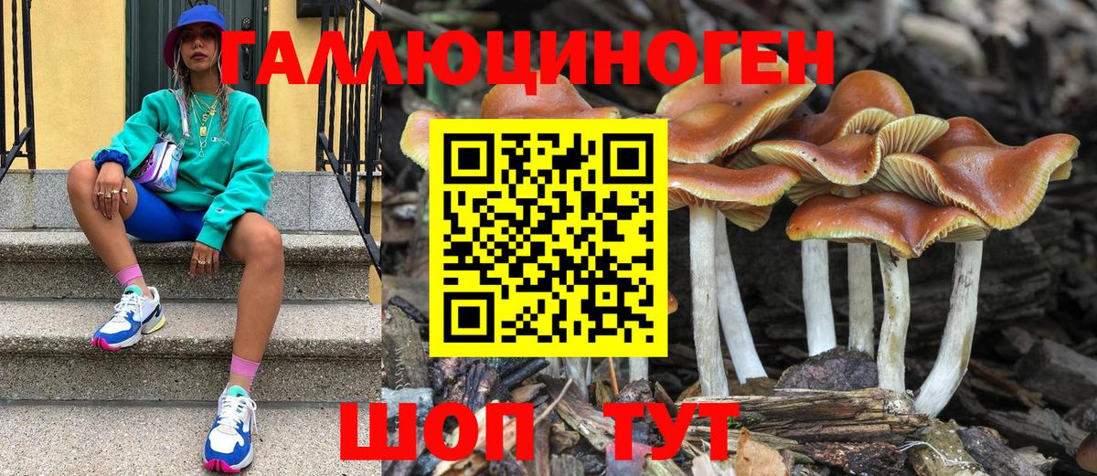 Галлюциногенные грибы Magic Shrooms Сургут