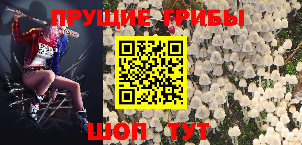 Галлюциногенные грибы мухоморы  Вход с VPN  Сургут 